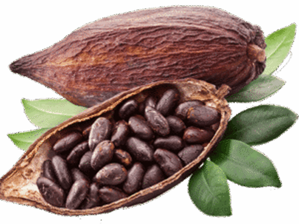 CACAO NIBS (DRAGEE)