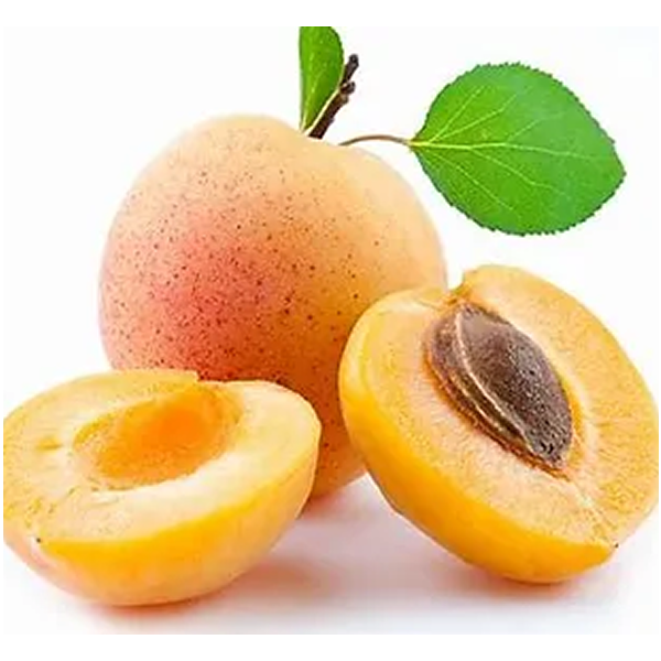 SPECIAL MIX DRY APRICOT POWDER