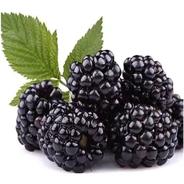 SPECIAL MIX DRY BLACKBERRY POWDER