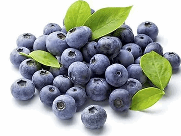 SPECIAL MIX DRY BLUEBERRY POWDER