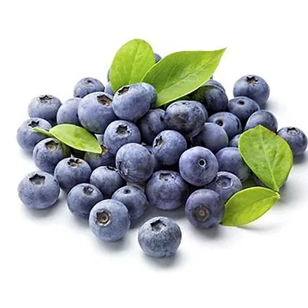 SPECIAL MIX DRY BLUEBERRY POWDER