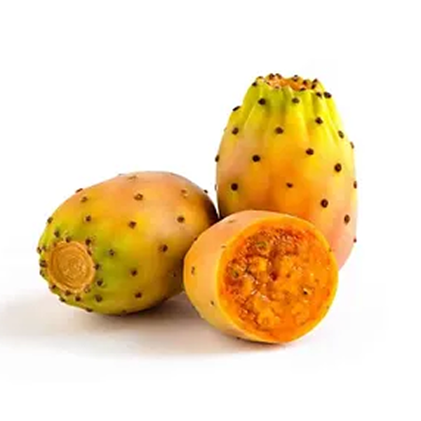 مزيج خاص من مسحوق الصبار الجاف