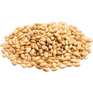 SUNFLOWER SEEDS